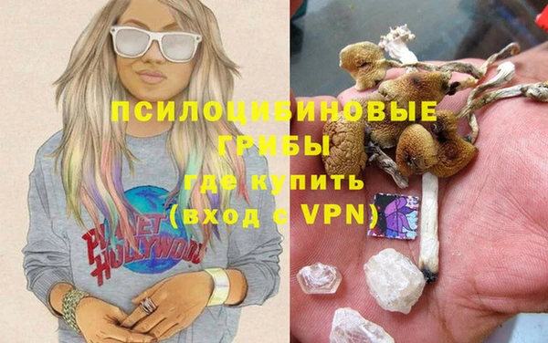 сатива Яранск
