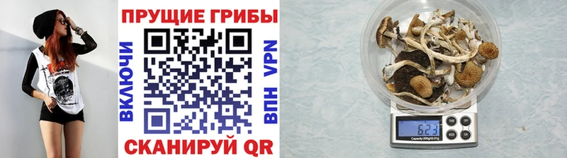 Галлюциногенные грибы мицелий  Задонск 